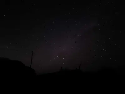 호주 ①